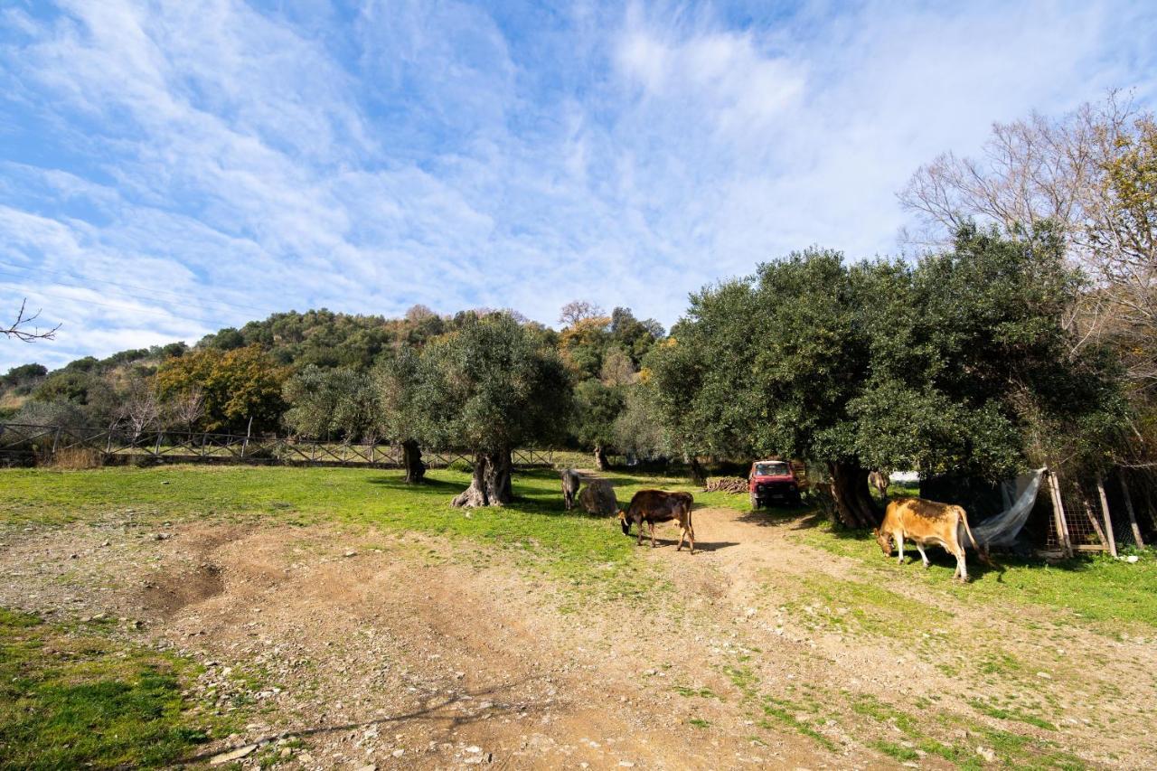 Agriturismo San Basilio Salento Zewnętrze zdjęcie